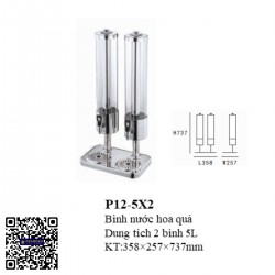 Bình nước hoa quả P12-5X2