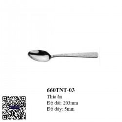Thìa ăn Buffet 660TNT
