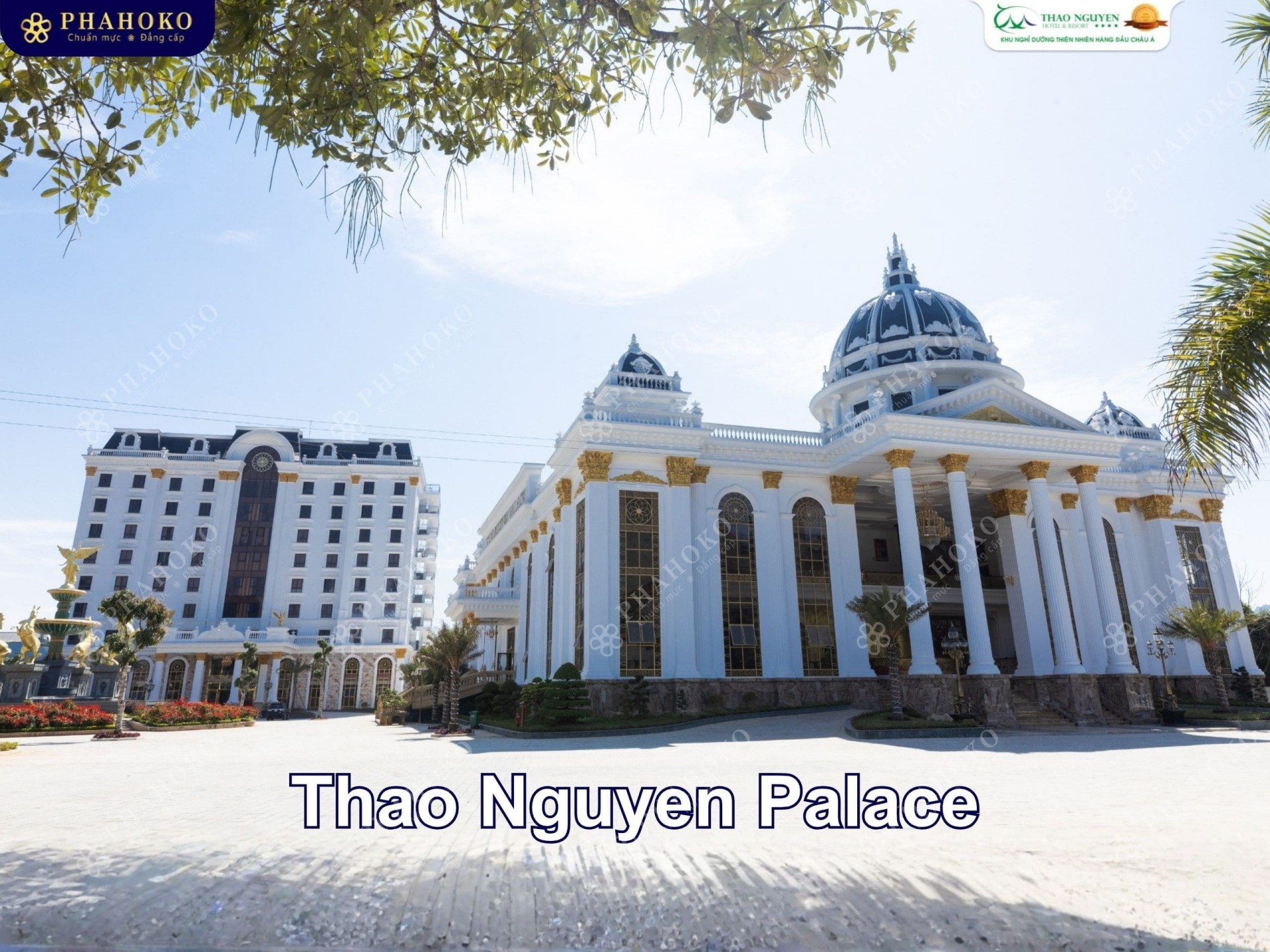 ❤️ Phahoko: Nhà Cung Cấp Thiết Bị Khách Sạn Uy Tín - Lời Tri Ân